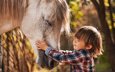 лошадь, природа, ребенок, мальчик, животное, конь, agnieszka gulczynska