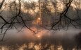 деревья, вода, солнце, отражение, утро, туман, ветки