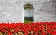 цветы, стена, красные, весна, скамейка, тюльпаны, арка