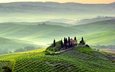 холмы, италия, сопка, виноградник, тоскана