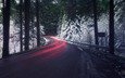 свет, дорога, снег, природа, лес, зима, выдержка