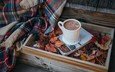 листья, кофе, чашка, плед, книга, какао, горячий шоколад, осенние листья