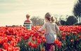 цветы, настроение, дети, весна, тюльпаны, девочки