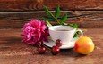 цветок, кофе, абрикос, ягоды, вишня, чашка, плоды, натюрморт, пион, композиция