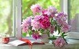 цветы, лето, окно, ваза, стакан, книга, перо, тетрадь, подоконник, пионы, дневник