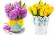 цветы, букет, тюльпаны, ваза, пасха, яйца, гиацинты, композиция