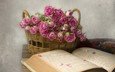 цветы, розы, лепестки, букет, корзина, книга, и книга