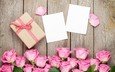 розы, лепестки, букет, подарок, коробка, день святого валентина, розовые розы, открытки