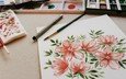 цветы, рисунок, краски, рисование, кисти