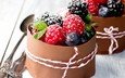 мята, малина, ягоды, черника, десерт, сахарная пудра, ежевика