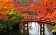 деревья, ветки, мост, осень, япония, сад, киото, пруд