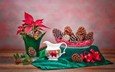 ткань, растение, ваза, шишки, кувшин, натюрморт, композиция, пуансеттия, рождественская звезда
