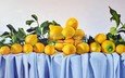 листья, фрукты, стол, ткань, лимоны, цитрусы