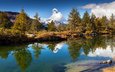 озеро, горы, природа, лес, отражение, пейзаж, осень, швейцария, grindjisee lake, grindjisee