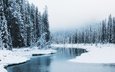 река, снег, природа, лес, зима, канада