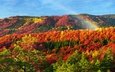 горы, природа, лес, осень, радуга, карпаты
