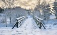 деревья, снег, природа, зима, мост, следы, польша