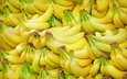 фрукты, много, плоды, бананы