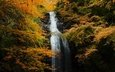 река, природа, лес, скала, водопад, осень, поток
