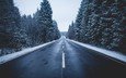 дорога, деревья, природа, зима