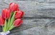 цветы, букет, тюльпаны, красные тюльпаны