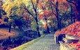 природа, парк, мост, осень, канал, скамейка