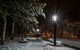 ночь, фонари, природа, зима, парк, хорватия, загреб, уличный фонарь