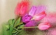 цветы, бутоны, лепестки, размытость, тюльпаны
