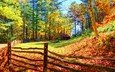 деревья, лес, пейзаж, осень, забор, домик, солнечный свет