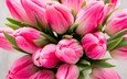 цветы, букет, тюльпаны, розовые цветы