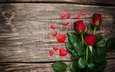 цветы, бутоны, розы, лепестки, красные, любовь, сердечки, день святого валентина, святого, красные розы