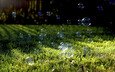 трава, природа, растение, лужайка, мыльные пузыри, мыльные пузырики