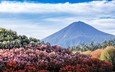 небо, цветы, пейзаж, гора, япония, вулкан, фуджи, фудзияма