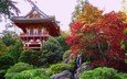 деревья, дерево, храм, осень, пагода, япония, сад, дом, архитектура