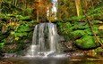вода, природа, камни, лес, листья, пейзаж, водопад, осень, поток, мох, растительность