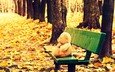 осень, мишка, игрушка, скамейка, плюшевый медведь, осенние листья