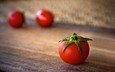 овощи, помидоры, томаты, деревянная поверхность