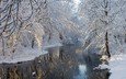 деревья, река, снег, зима, отражение, пейзаж, ветви, мороз