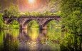 вода, река, природа, лес, отражение, мост, солнечный свет, каменный мост