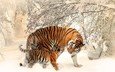 тигр, морда, деревья, снег, зима, хищник, тигренок