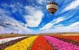 небо, цветы, облака, природа, поле, воздушный шар