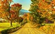 дорога, деревья, природа, пейзаж, осень, дом, природа.