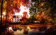 деревья, природа, отражение, осень, дома, пруд