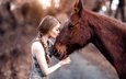лошадь, природа, платье, модель, профиль, конь, поцелуй, косы, закрытые глаза, алессандро ди чикко