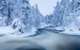 деревья, река, снег, природа, лес, зима, мост, финляндия, лапландия, jari ehrstrom, национальный парк оуланка