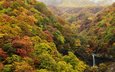 природа, лес, водопад, осень, япония, ирохадзака