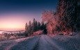 дорога, деревья, вечер, природа, закат, зима