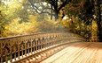 природа, дерево, листья, мост, осень, деревянный мост