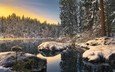 река, снег, природа, лес, зима, отражение, пейзаж