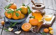 фрукты, апельсины, сладкое, мед, мандарин, цитрусы, кумкват